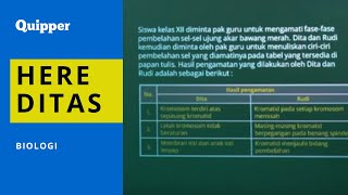 What’s up, quipperian?ayo, siapa yang belum terlalu paham dengan
materi biologi satu ini? pasti karena itu kan alasan kamu mampir ke
sini. eits, buat ya...