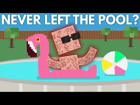 What If You Never Left The Pool?