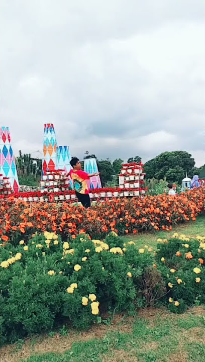 Joget Ala India Di Taman Bunga || Mimi Peri Rapunchell