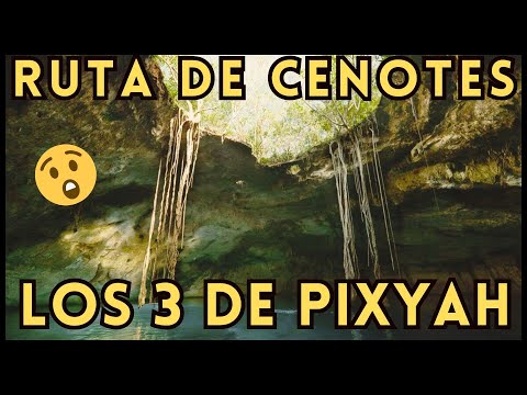 🔴Un viaje lleno de aventura que te lleva a esta nueva RUTA DE CENOTES YUCATÁN 🇲🇽 #cenote #mexico