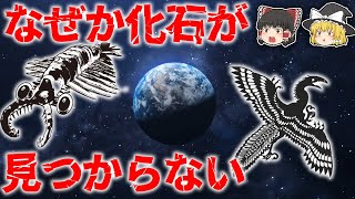 【ゆっくり解説】見つからない化石ミッシングリンクの謎！