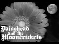 Daisyhead And The Mooncrickets  - - Seahorses (Acid Quest)