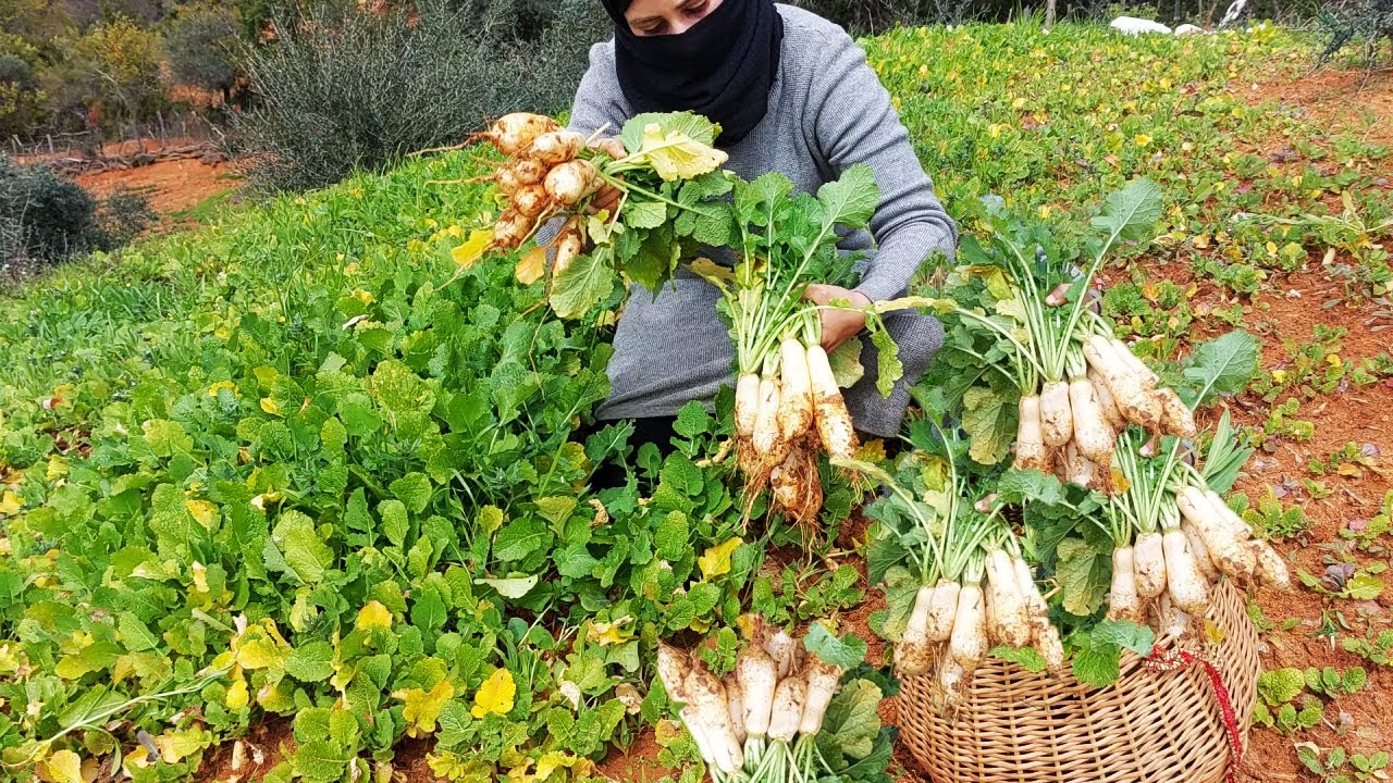 زردة الربيع احتفالاتنا بدخول الربيع باطباق لذيذة جدا إنه شمال الجزائر