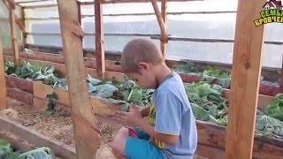 Семья Бровченко. Сбор картошки и уборка урожая (часть 4) (09-10.15г.) Семья Бровченко. Сбор картошки и уборка урожая (часть 4) (09-10.15г.)