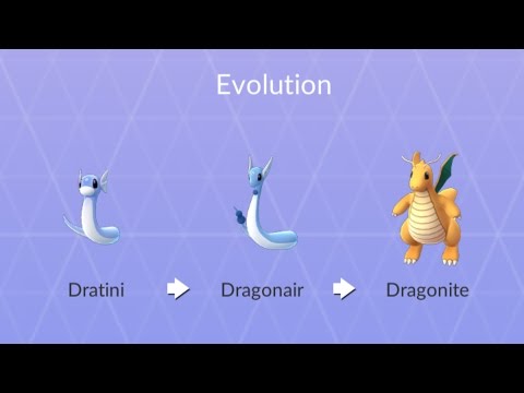 Dragonite Full Evolution Chain! Evolving Dratini to Dragonair to Dragonite Plus Power Ups!