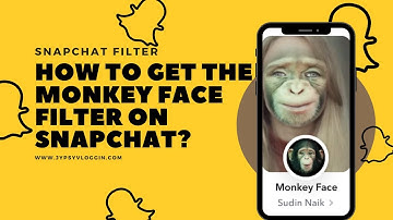 How to get the Monkey Face filter on Snapchat