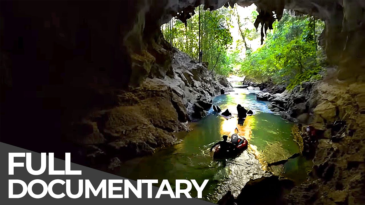В поисках неизведанного мира: Сулавеси, Индонезия | Бесплатный документальный фильм