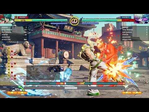 FATAL FURY: City of the Wolves - Jae Hoon Rev Combo