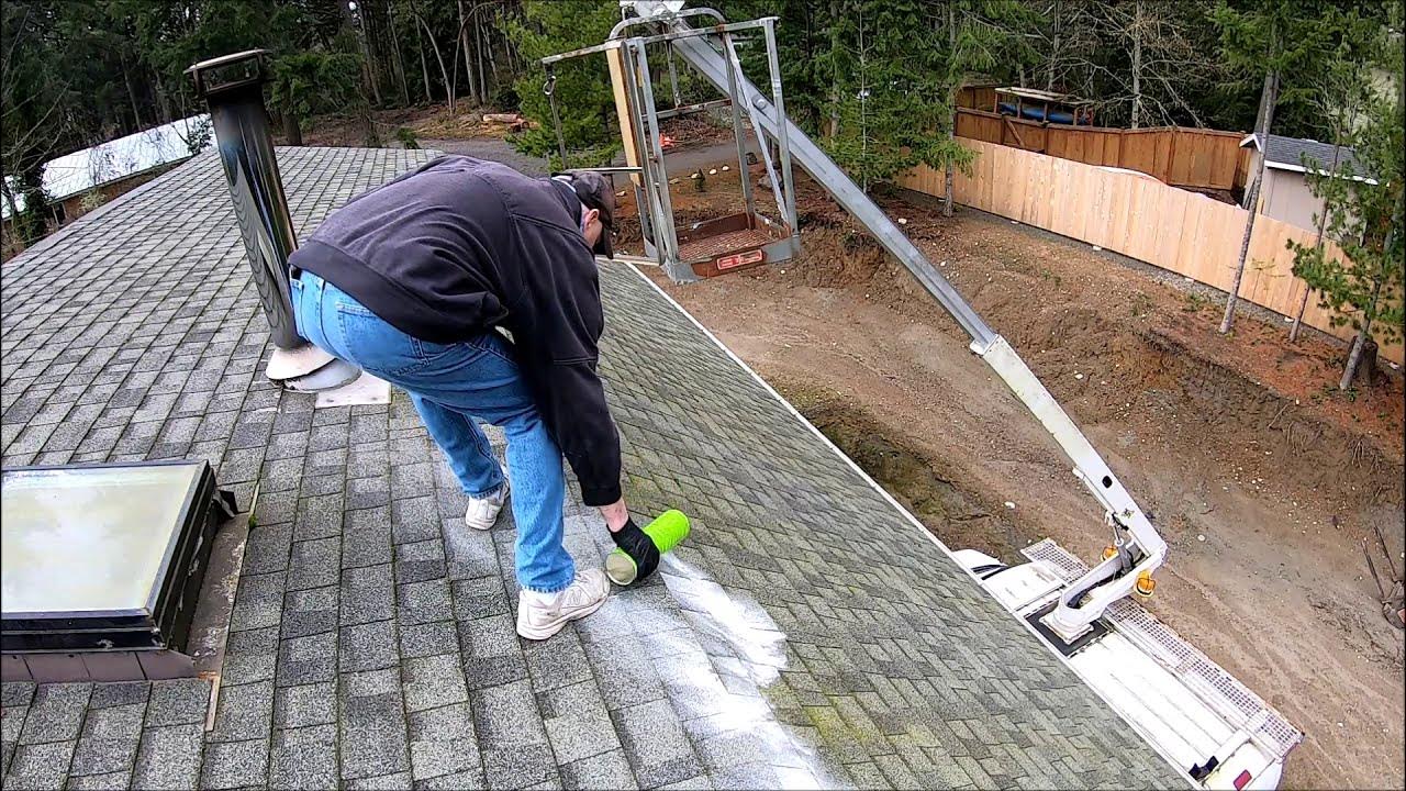 How To Remove Moss From Roof With Moss B Ware. It's been a year, lets