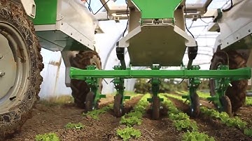 #Dino - 2017 - Large-scale vegetable weeding robot