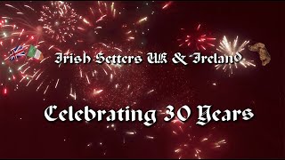 Irish Setters UK & Ireland Website Celebrating 30 Years by Irish Setters UK & Ireland 245 views 10 months ago 1 minute, 22 seconds