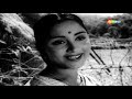 Mila Hai Kisi Ka Jhumka | Parakh - HD Video | Classic Hit Song | Lata Mangeshkar | Evegreen Songs