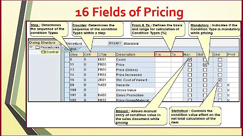 16 Fields of Pricing Procedure SAP SD