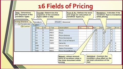 16 Fields of Pricing Procedure SAP SD