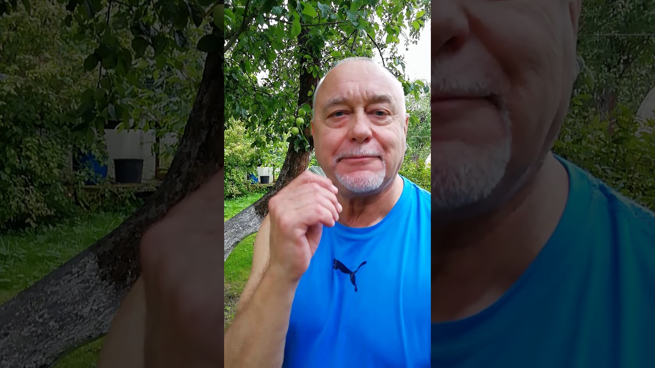 Последние видео между городом и дачей