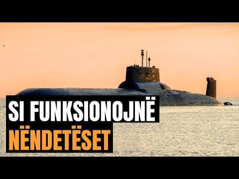 Video: Si funksionojnë forcat në natyrë?