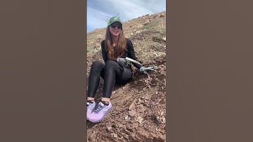 Trilobite hunting outside of Las Vegas!