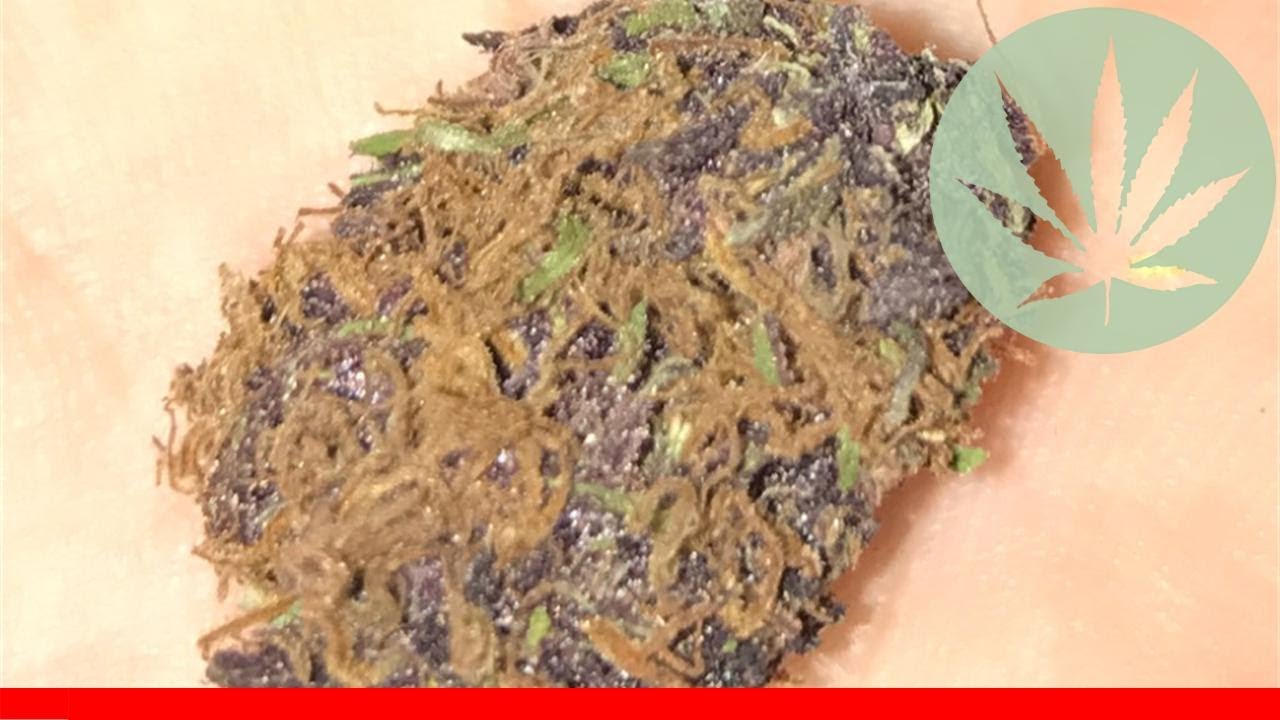 Pineapple Purple Skunk - All About This Strain