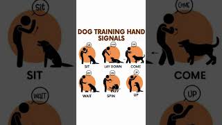 Dog Training Made Easy 🐾| Teach Basic Hand Signals at Home!