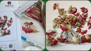 видео: «Калина» Лука-С . От старта до финиша . 🌷🌷🌷 картинка: «Калина» Лука-С . От старта до финиша . 🌷🌷🌷