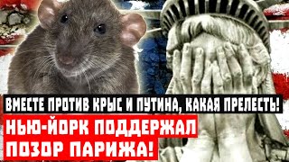 Вместе против крыс и Путина, какая прелесть! Нью-Йорк поддержал позор Парижа!