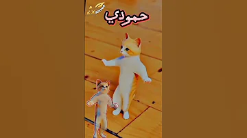 محمد يامحمد حمودي اطلبوا اسم 