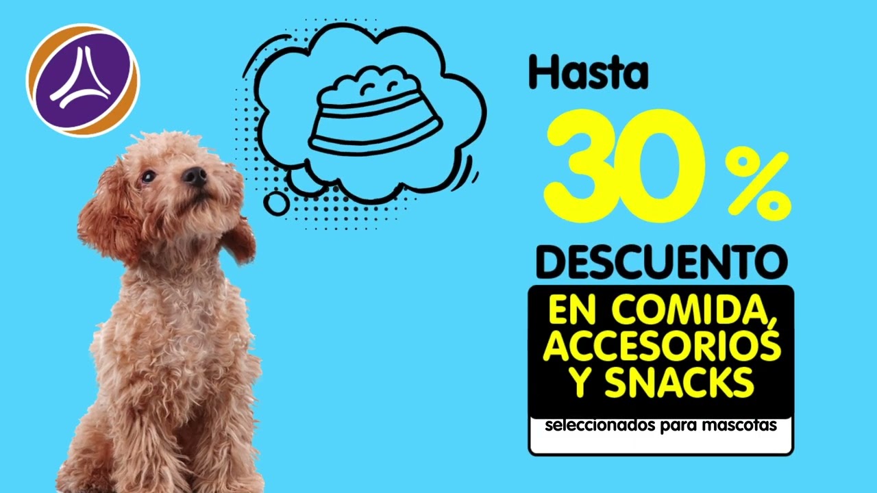 Promociones en accesorios para mascotas