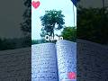 Quran – Surah ayat urdu translations #quran #qurantilawat #viralvideo #shortvideo