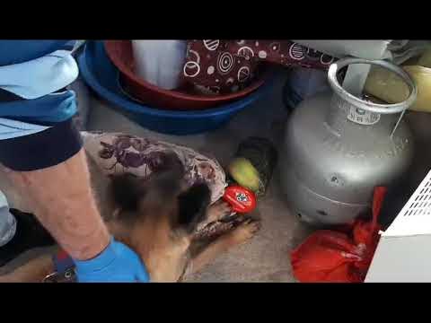 JASAT UYUŞTURUCU OPERASYONU-KAYSERİ