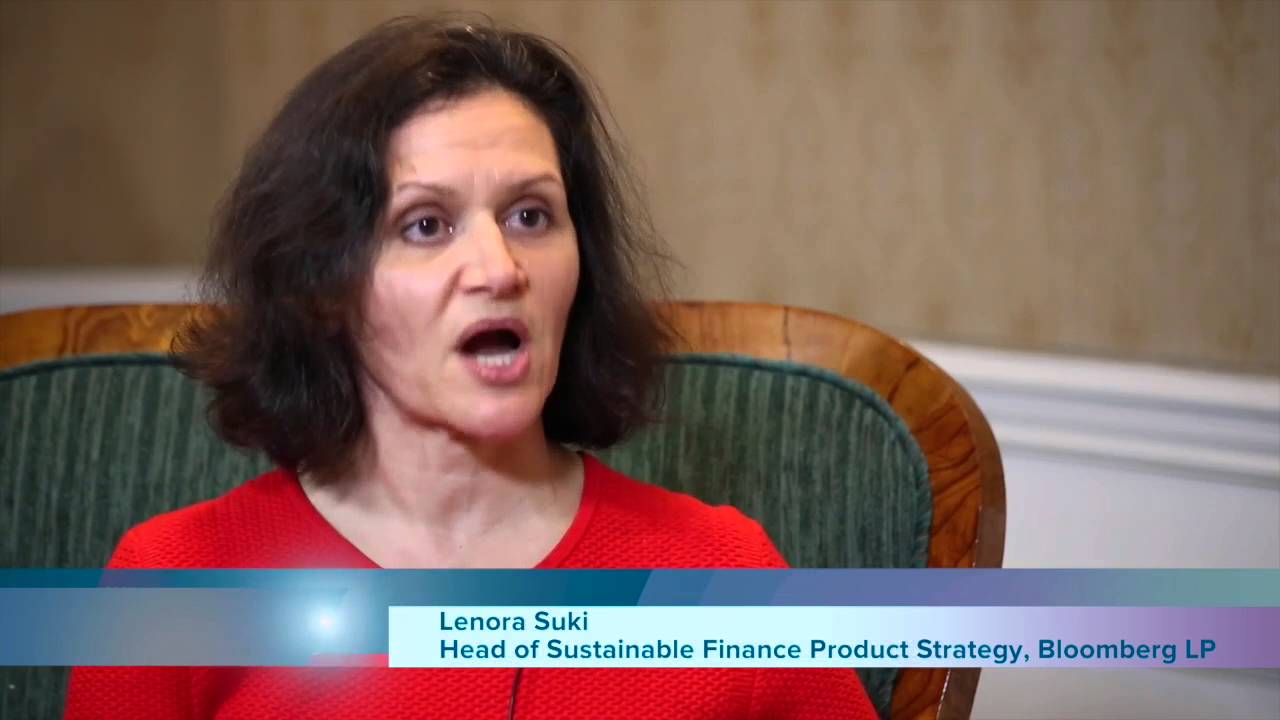 Strategist Sees Broad Range In Public Sustainability Reporting YouTube Strategist Sees Broad Range In Public Sustainability Reporting YouTube