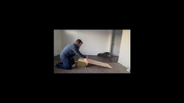 Phys 1010 Module 2 Project