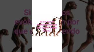 Despertar espiritual Si los monos evolucionaron al hombre por que siguen siendo monos?