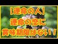【運命の人】運命の恋には賞味期限はない!