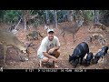 Tim Harrell - Browning Trail Camera Pickup