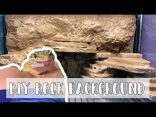 Can i use this to create a background the great stuff pond and stone is so  hard to find : r/reptiles