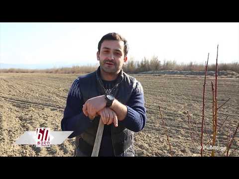 #ფერმა კალმახის ბიზნესი - როგორ მოვაწყოთ მეურნეობა/ გამოცდილი ფერმერის რჩევები დამწყებ მეკალმახეებს