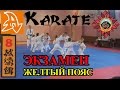 Экзамен по каратэ на желтый пояс (8 кю). Karate exam on 8 kyu