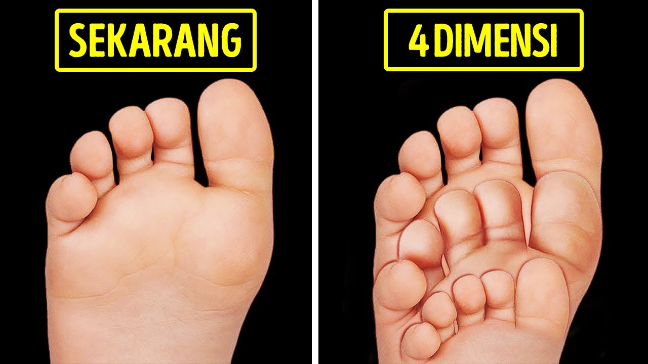 Seperti Apa Penampilanmu di Ruang 4 Dimensi?