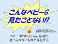 ベビーG 電波ソーラー レディース
