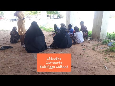 Afduubka carruurta ee ka jira saldhigga galbeed dagmada Dharkenley