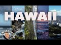 Island Views ||| Hawaii Drone Footage ||| Kauai, Maui, O'ahu