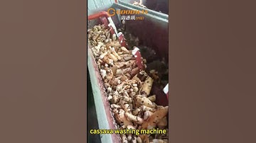 Cassava processing machine cassava washing machine cassava cleaning machine