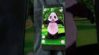 Talking Barry Panda Gets Fall Down screenshot 3