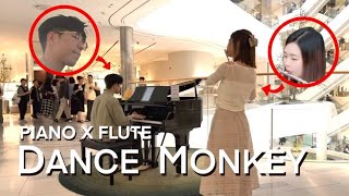 Flute girl joins me 'Dance Monkey-Tones and I'😵