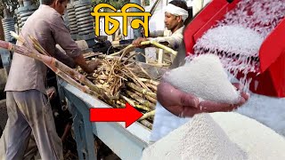 ফ্যাক্টরিতে চিনি SUGER কিভাবে তৈরি হয় ? | How Sugar is made ? by Q Fact Bangla 441 views 11 days ago 8 minutes, 42 seconds