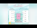 Farsi instructor shahrzad  persian grammar 5 simple past tense in persian language