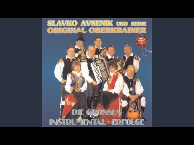 Slavko Avsenik & seine Original Oberkrainer - Wisch wasch Polka