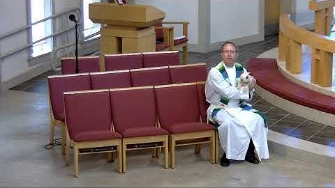 Plotinus (Tiny) the Pig - Fourteenth Sunday after Pentecost 2021