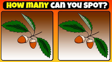 HOW MANY CAN YOU SPOT? | Find 3 Differences 👀