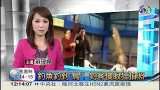 20131222-華視午間新聞-主播蘇瑋婷片段